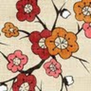 Meet your Posher, Nandi